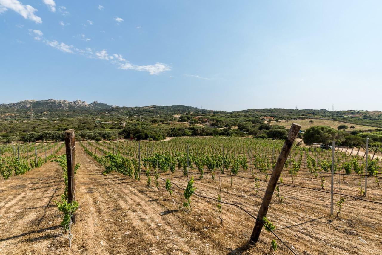 Tenuta Petra Bianca Палау Экстерьер фото