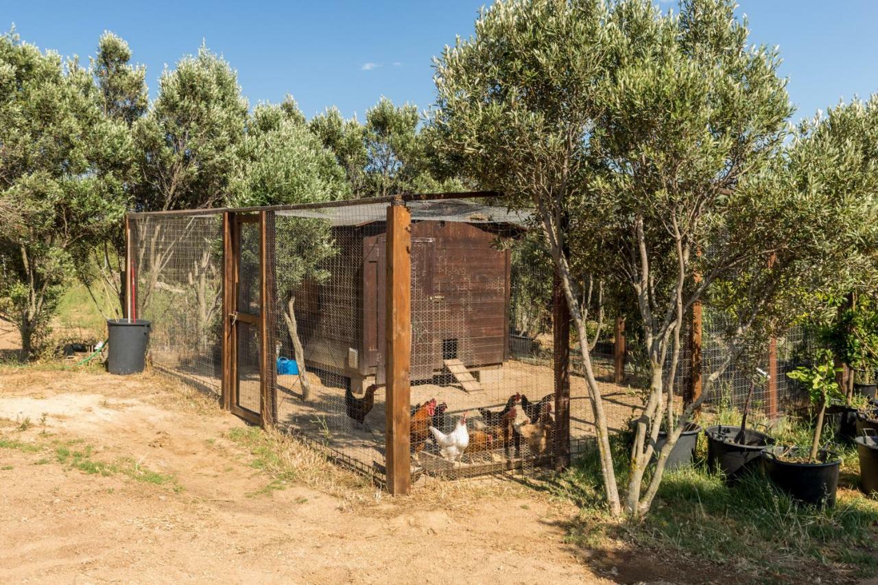 Tenuta Petra Bianca Палау Экстерьер фото